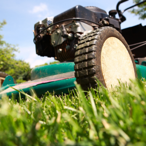 Landscaping business receives funding for new lawnmowers and convoy van