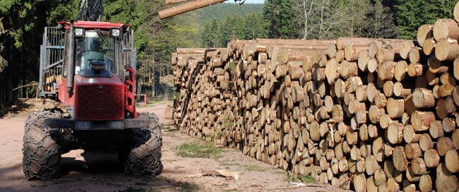 Forestry - MacManus Asset Finance